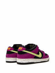 Nike SB Dunk Low / ACG "Terra Red Plum"